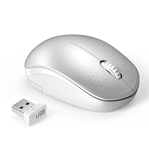 seenda Wireless Mouse, 2.4G Noiseless Mouse with USB Receiver Portable Computer Mice for PC, Tablet, Laptop and Windows/Mac/Linux (White & Silver)